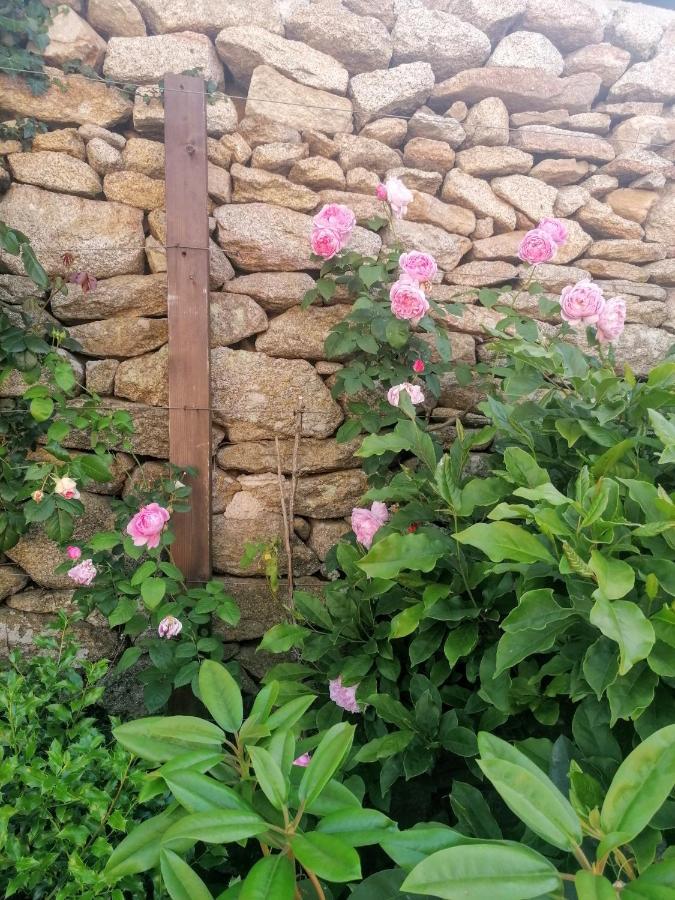 Rosas Da Granja - Casa De Campo Εξωτερικό φωτογραφία