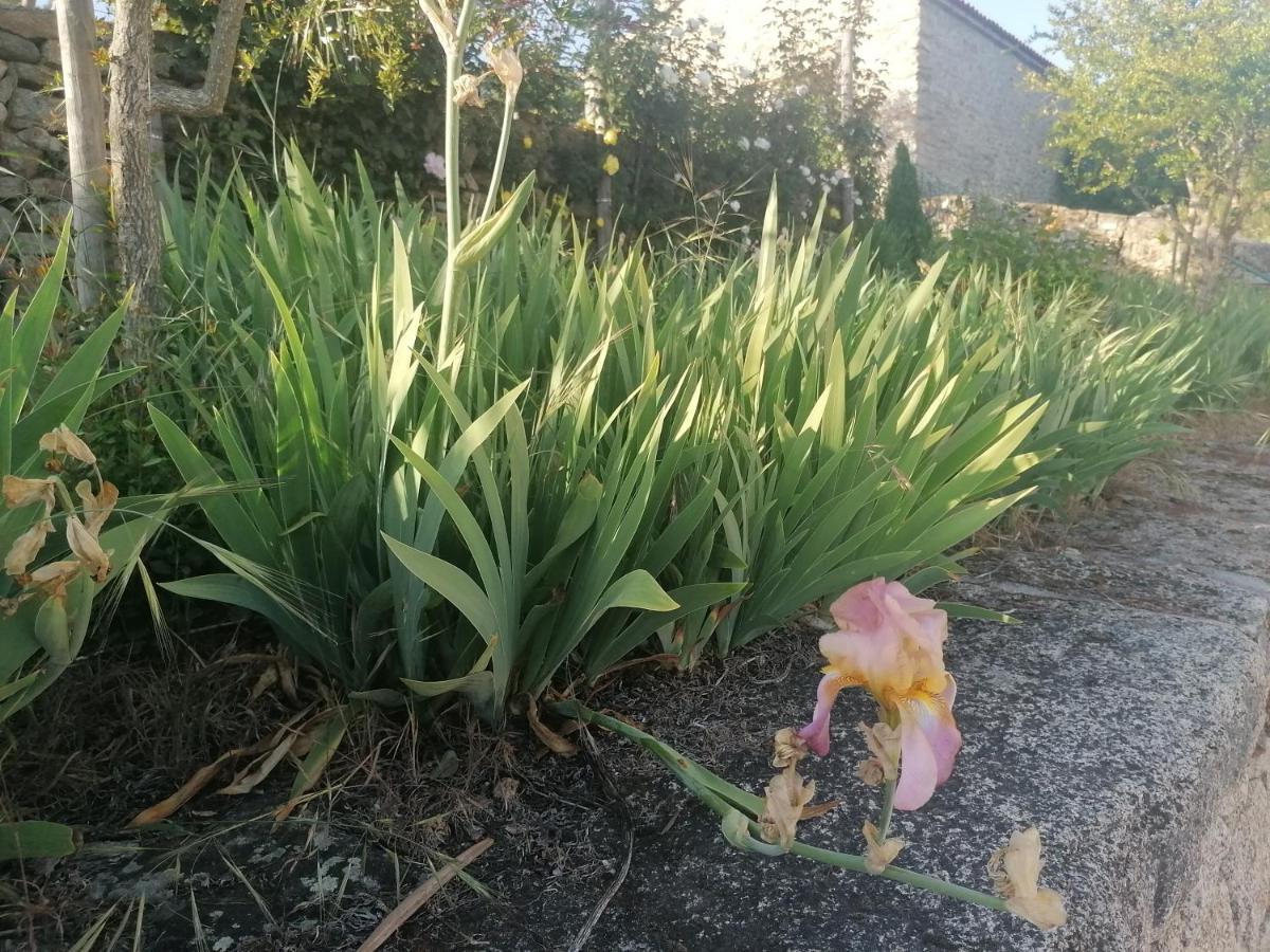 Rosas Da Granja - Casa De Campo Εξωτερικό φωτογραφία