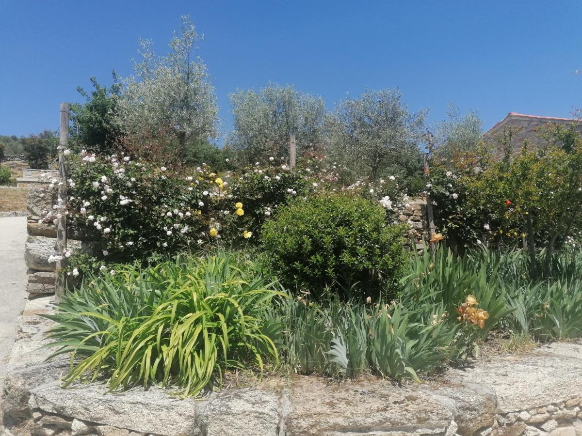 Rosas Da Granja - Casa De Campo Εξωτερικό φωτογραφία